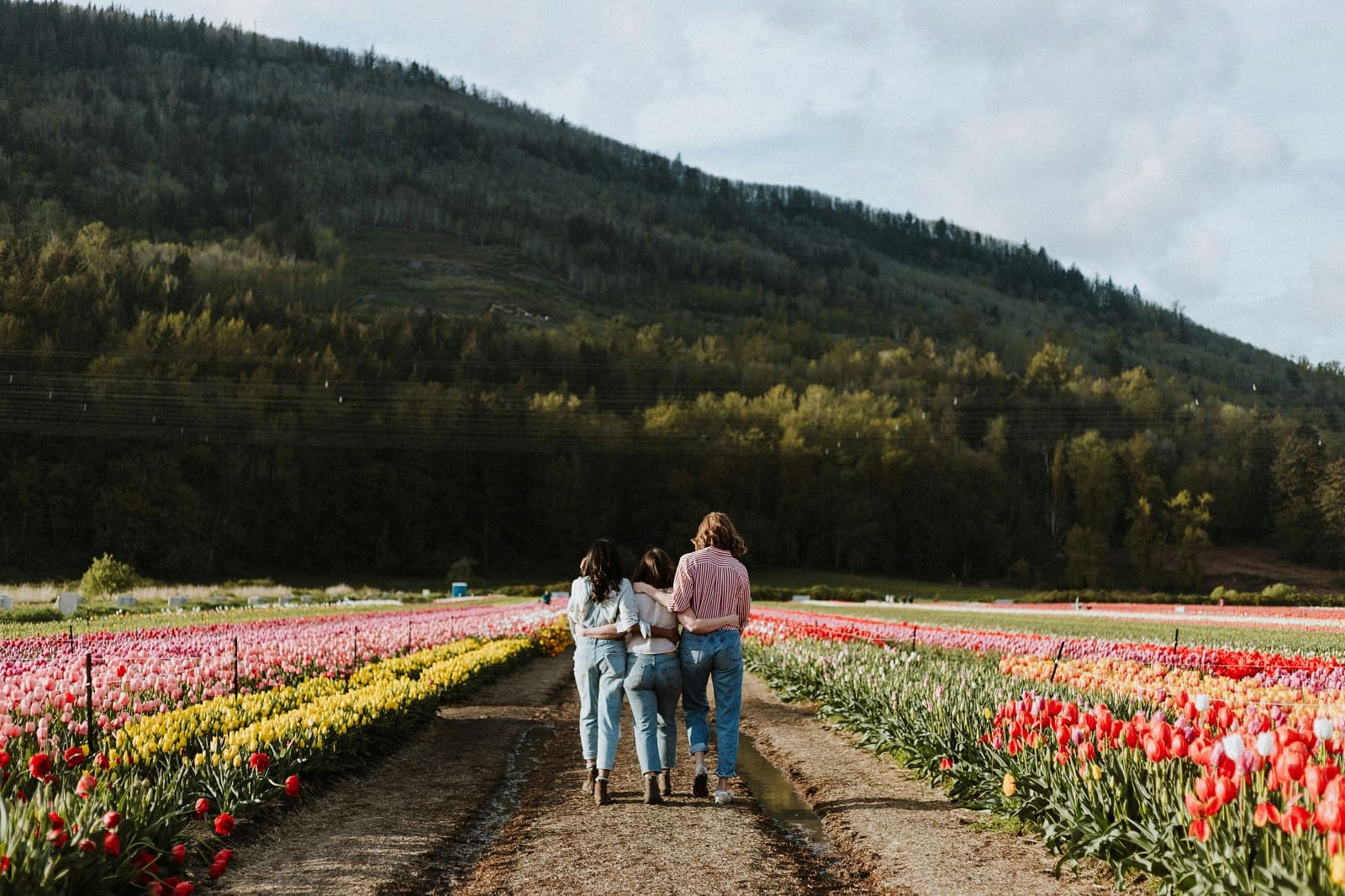 How to Offer Help in a Way That Feels Comfortable